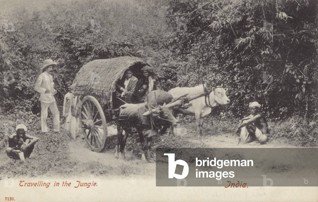 Travelling in the Jungle, India (b/w photo)