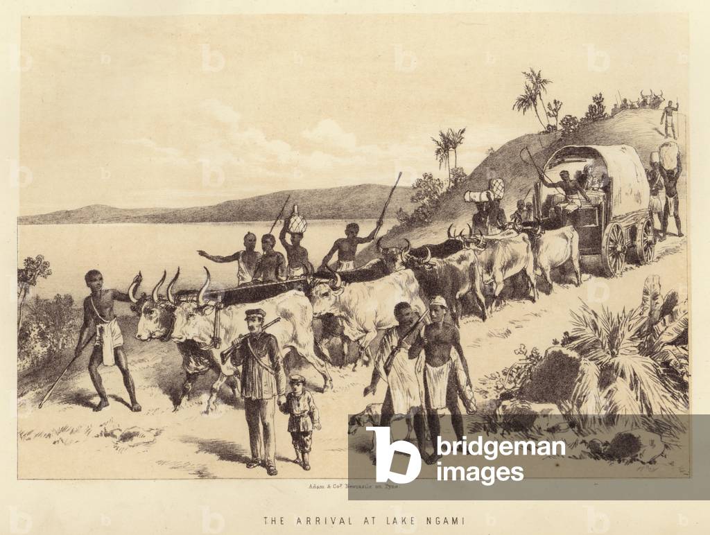 The arrival at Lake Ngami (litho)