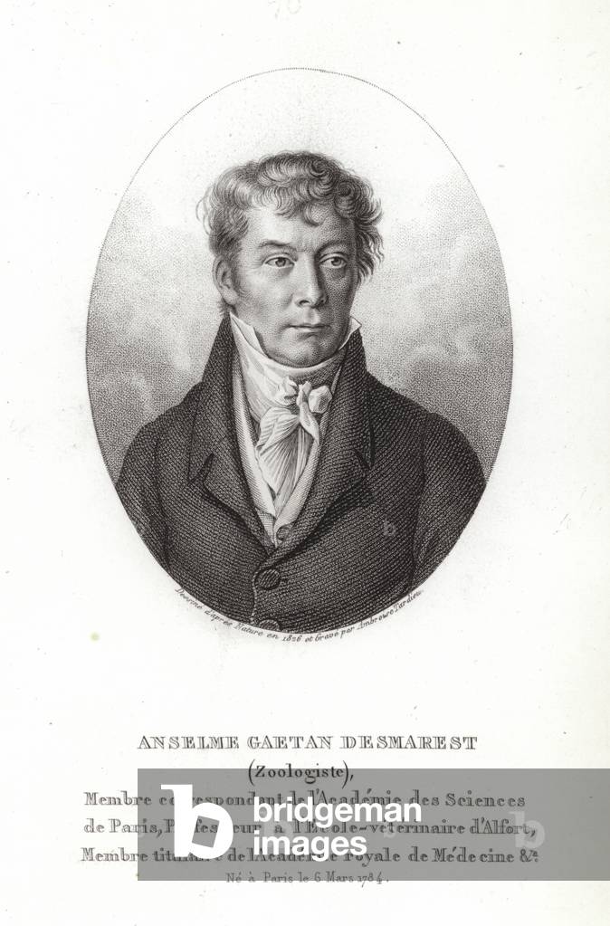 Anselme Gaëtan Desmarest (engraving)