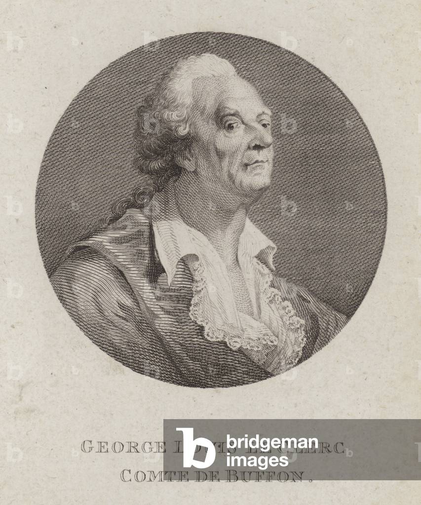 Georges-Louis Leclerc, Comte de Buffon, French naturalist (engraving)