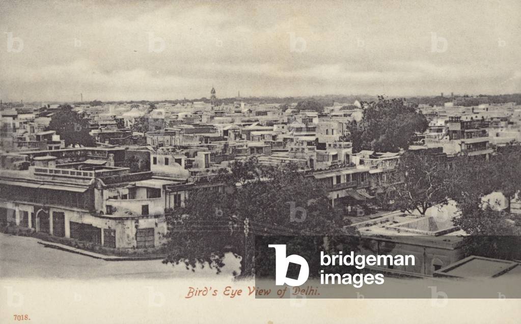 Bird's Eye View of Delhi (b/w photo)