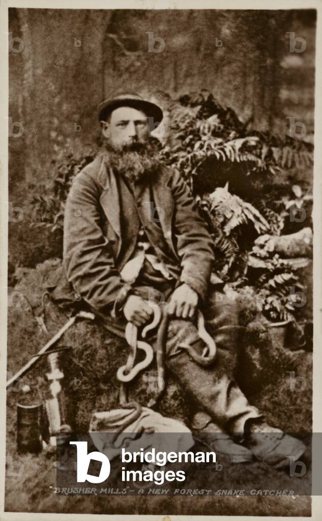 Brusher Mills, a New Forest snake catcher (b/w photo)