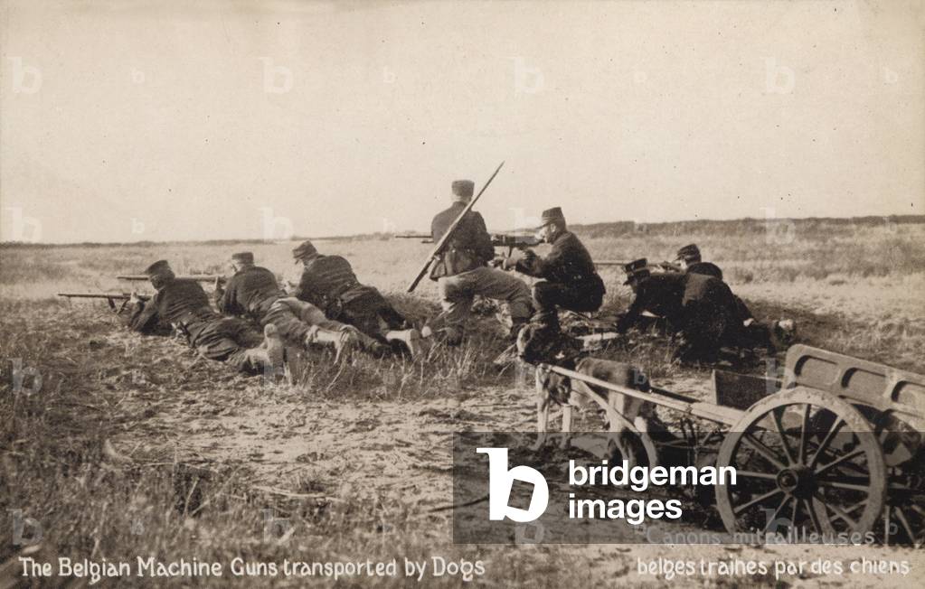 Belgian machine guns transported by dog carts, World War I (b/w photo)