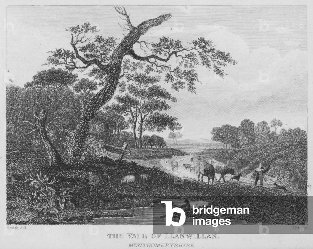 The Vale of Llanwillan, Montgomeryshire (engraving)