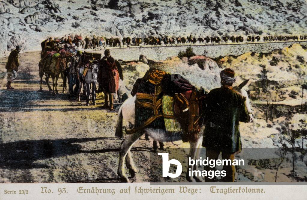 Mule train on a mountain road (coloured photo)