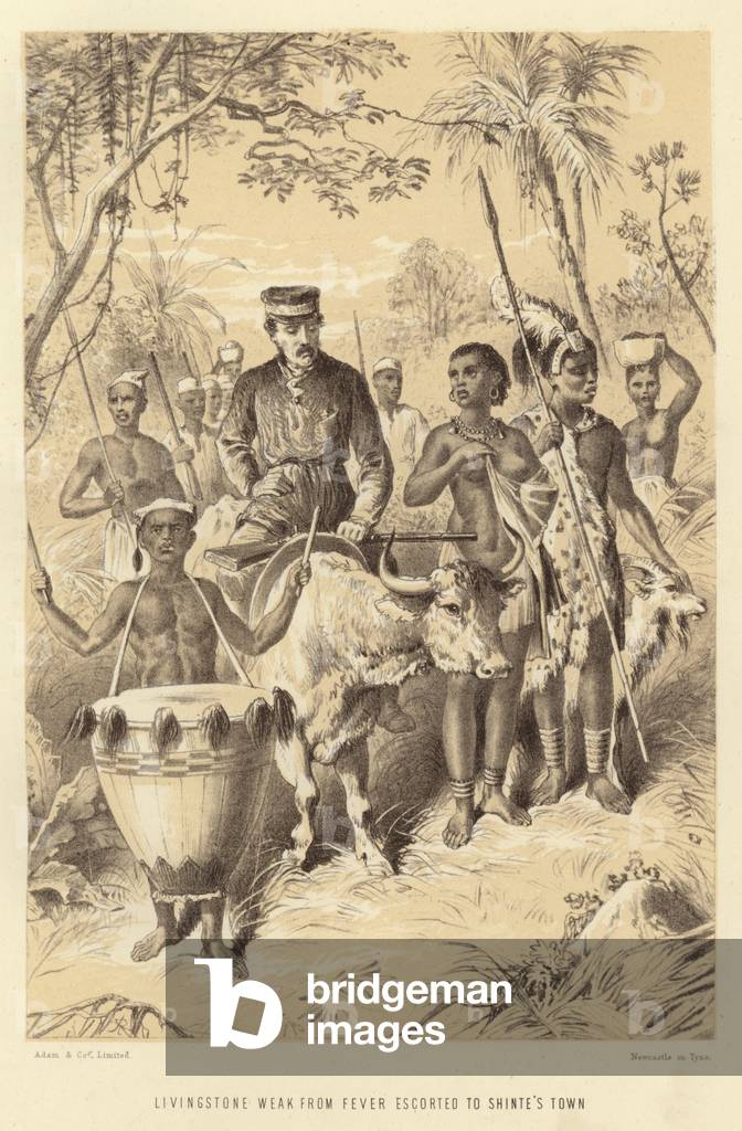 Livingstone weak from fever escorted to Shinte's Town (litho)