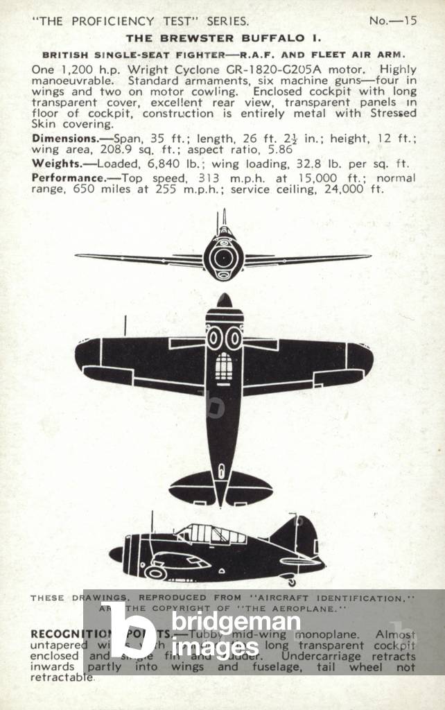 Brewster Buffalo, American fighter aircraft (b/w photo)
