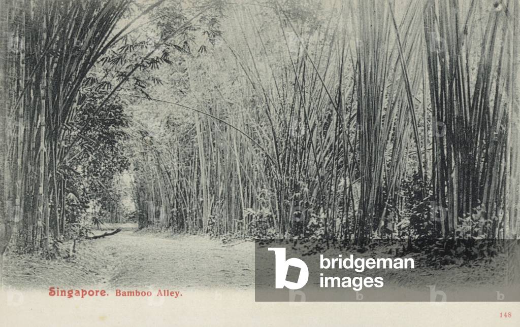 Bamboo Alley, Singapore (b/w photo)
