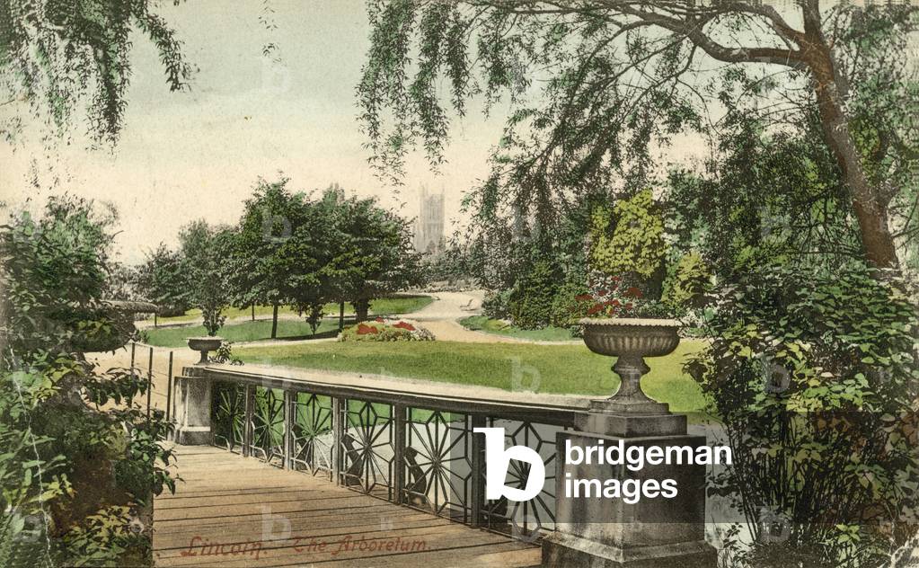 Lincoln, the Arboretum (colour photo)