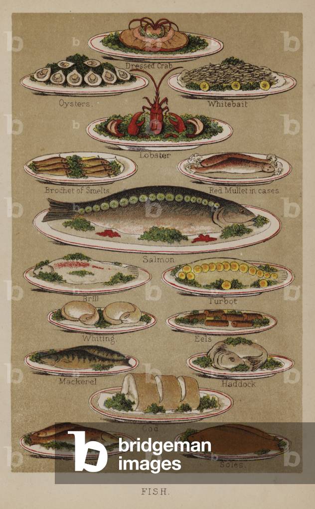 Fish (colour litho)