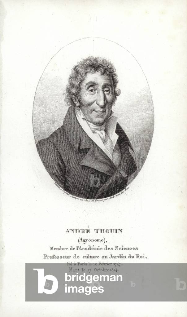 André Thouin (engraving)