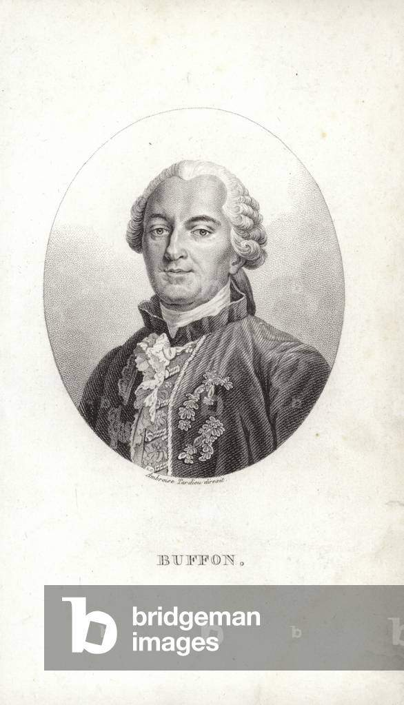 Georges-Louis Leclerc (engraving)