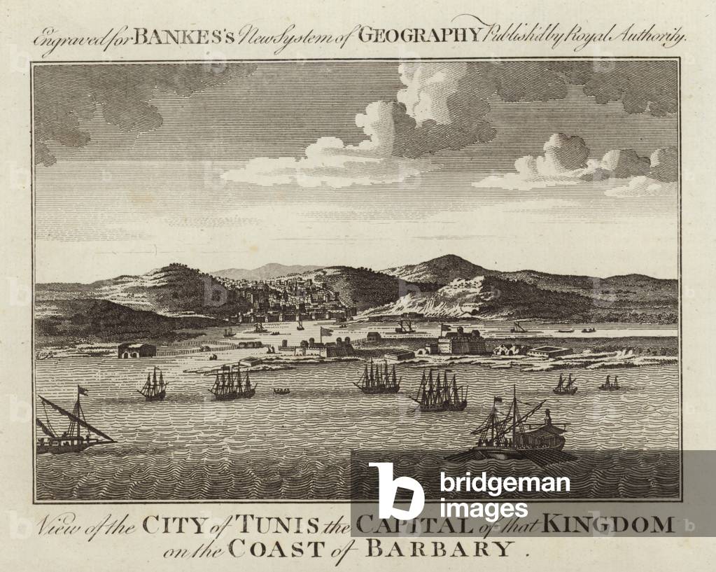 View of the City of Tunis (engraving)