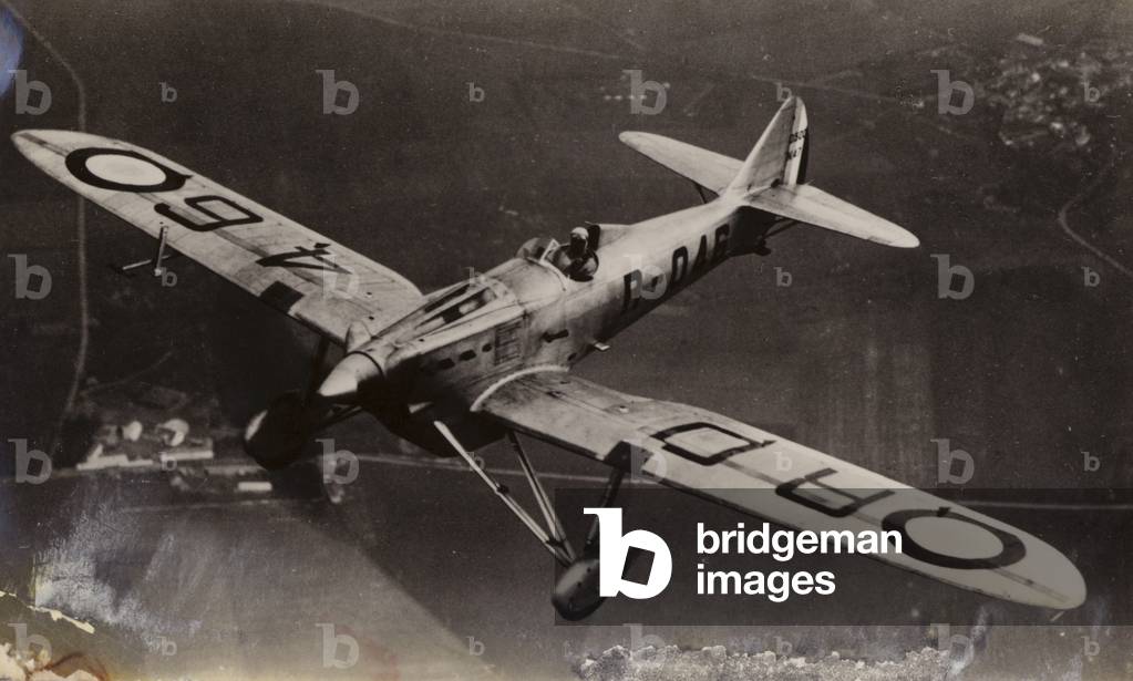 Royal Air Force plane (b/w photo)