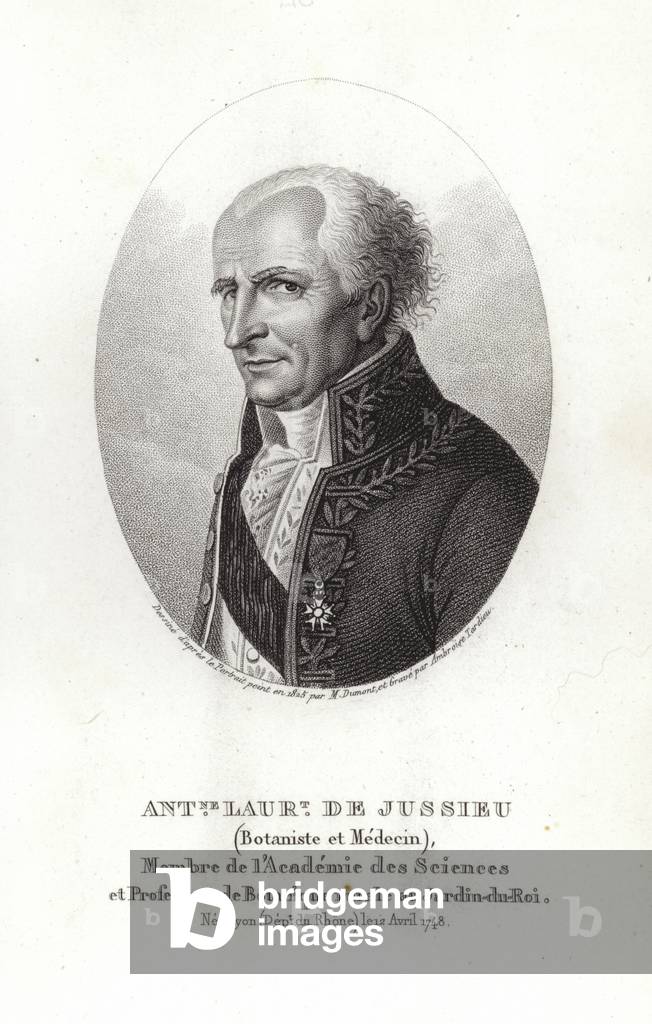 Antoine Laurent de Jussieu (engraving)