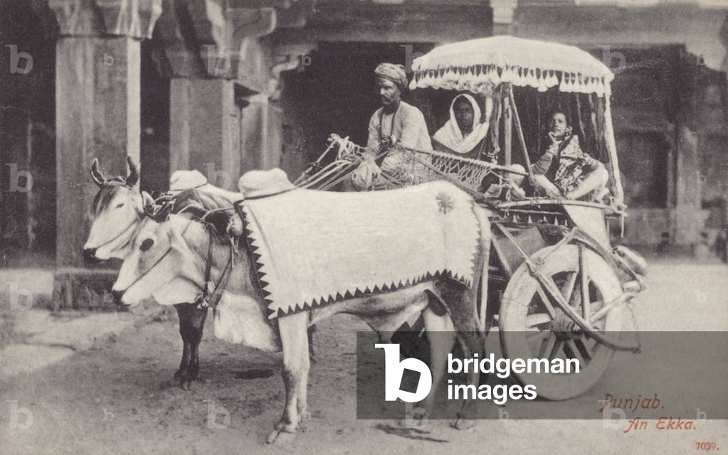 An Ekka, Punjab (b/w photo)