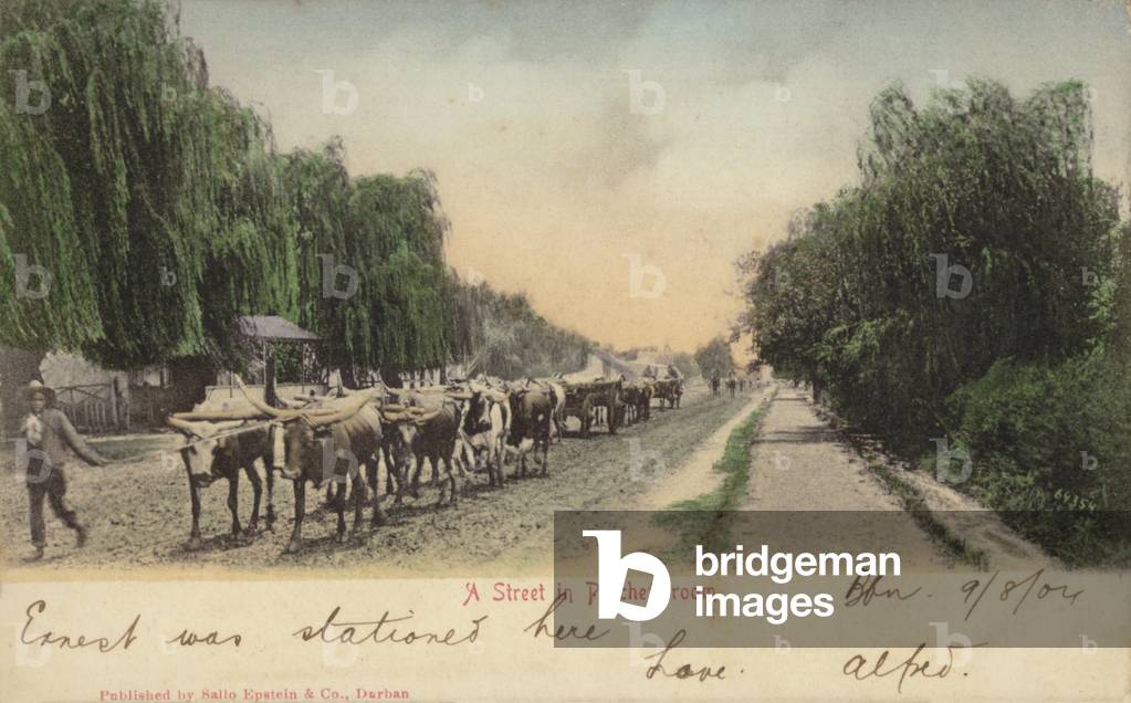 Postcard depicting a street in Potchefstroom (photo)