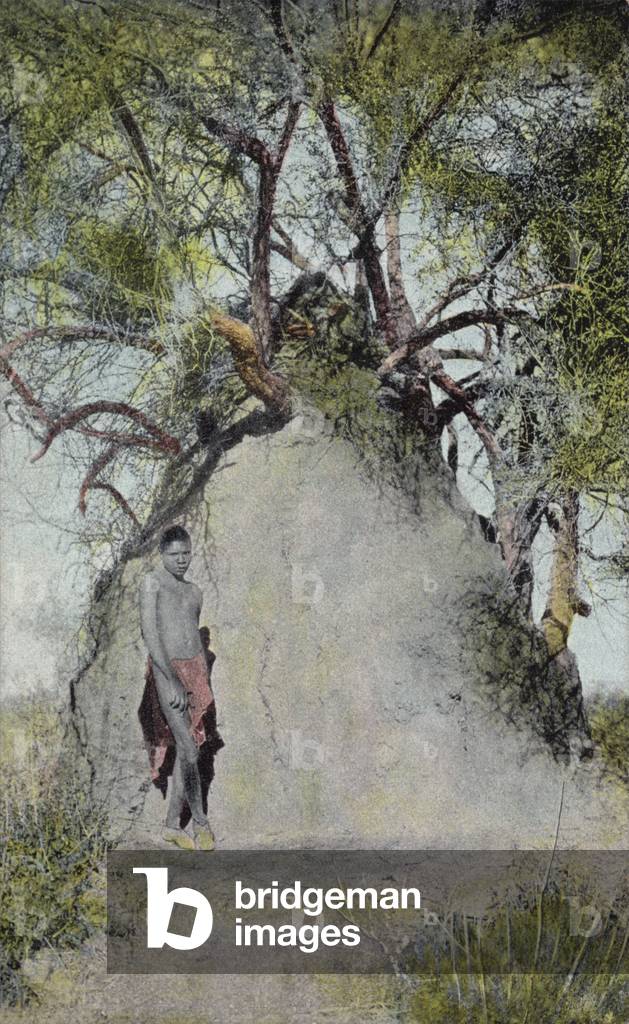 Postcard depicting a young boy standing beside an anthill (photo)