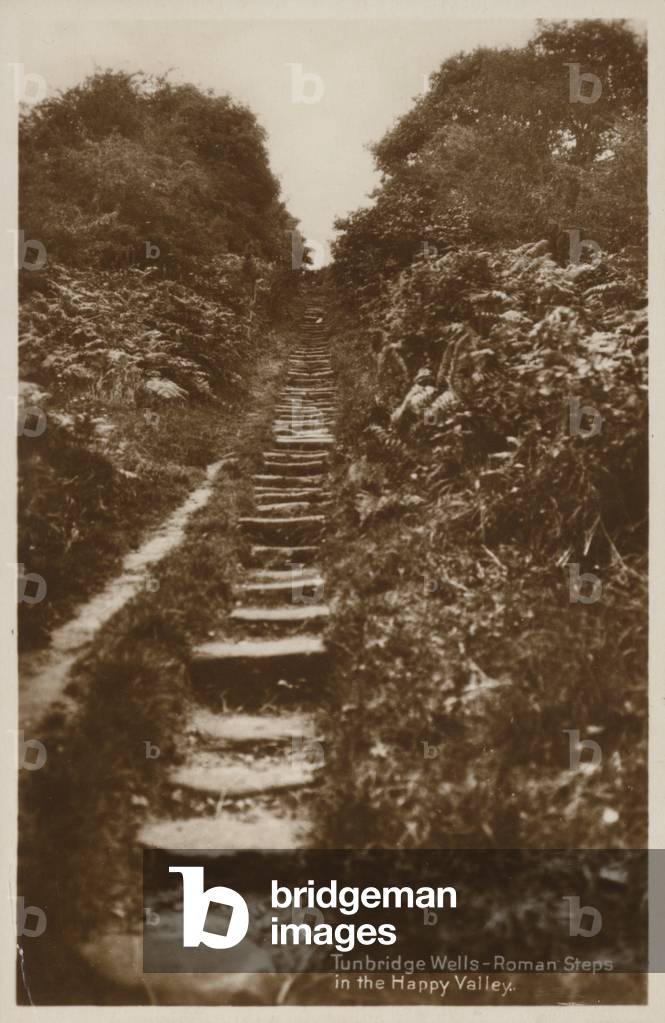 Roman Steps (b/w photo)