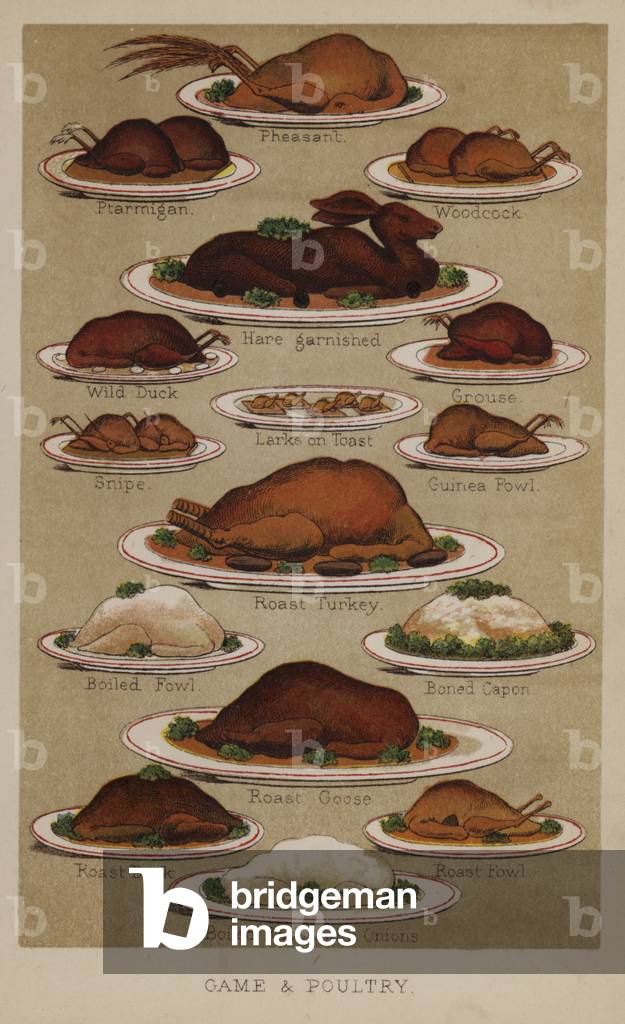 Game and poultry (colour litho)