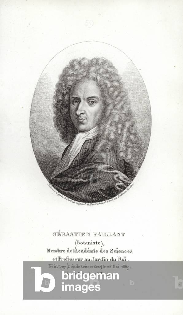 Sébastien Vaillant (engraving)