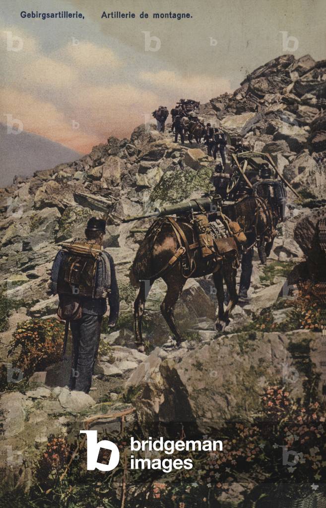 Mountain artillery (colour photo)