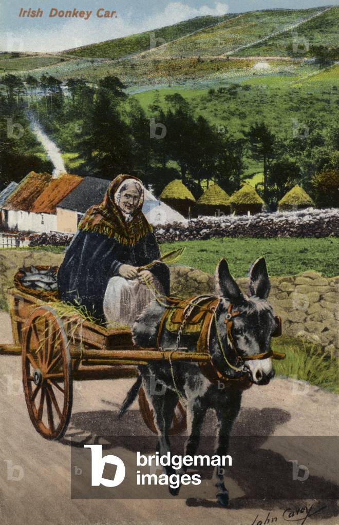 Irish Donkey Car (photo)