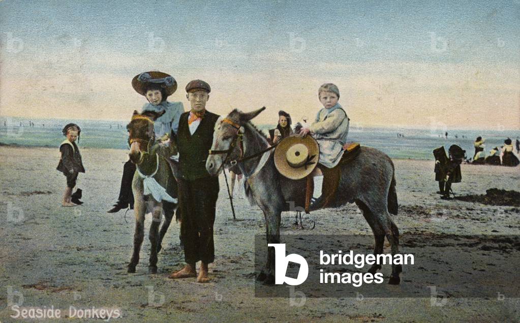 Seaside Donkeys (photo)