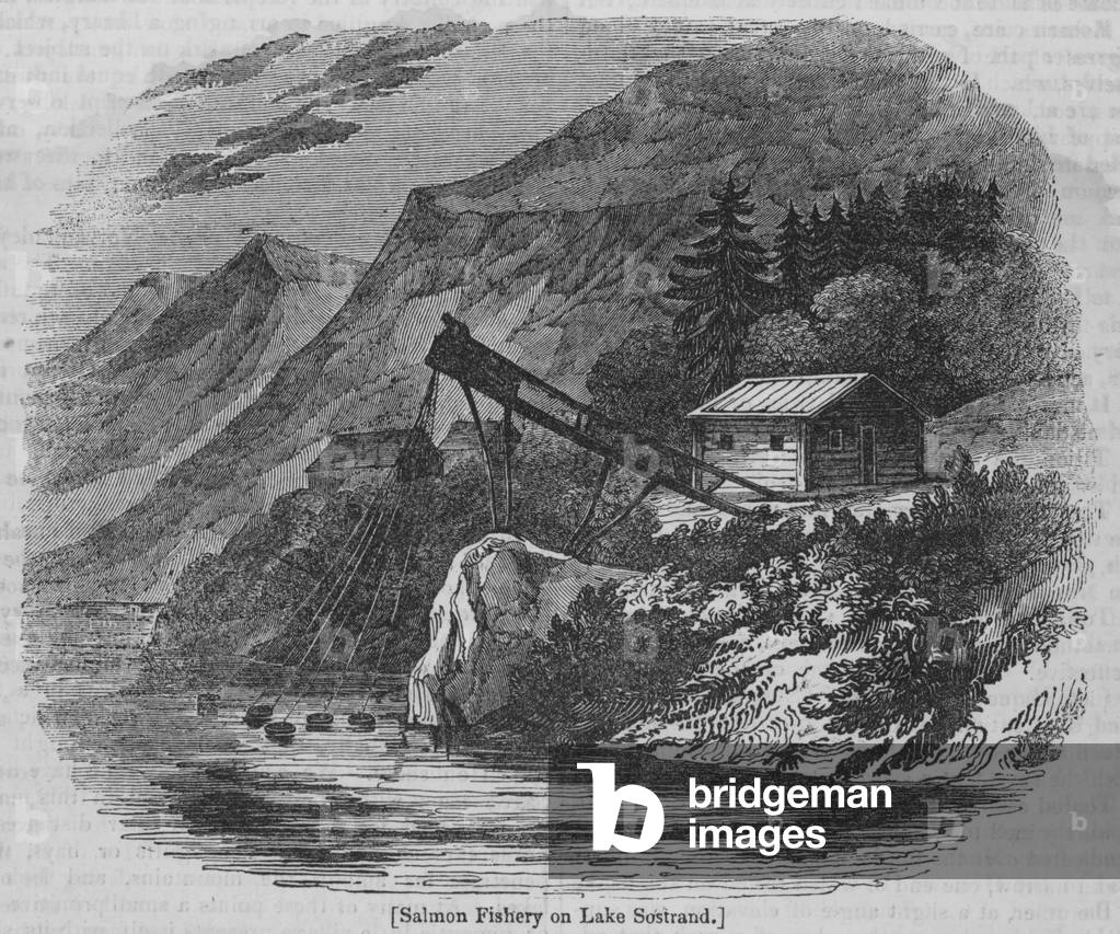 Salmon Fishery on Lake Sostrand (engraving)