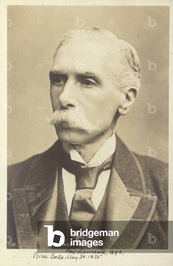 Alfred Austin (1835-1913), English poet (b/w photo)