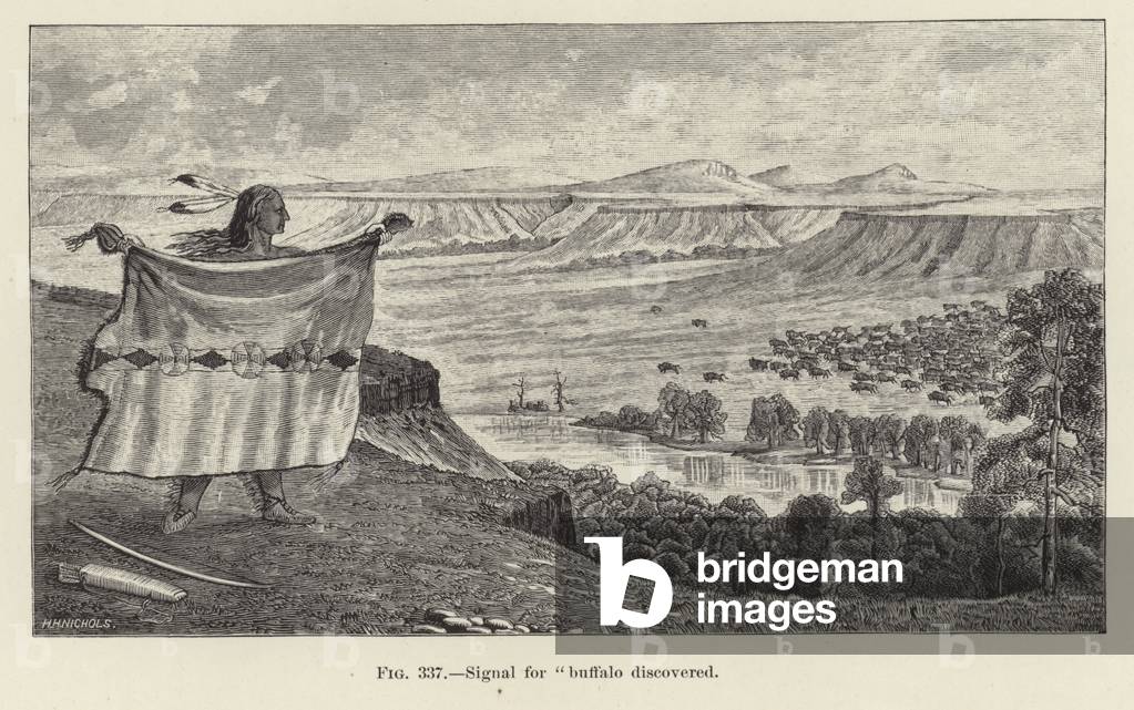 Signal for buffalo discovered (engraving)