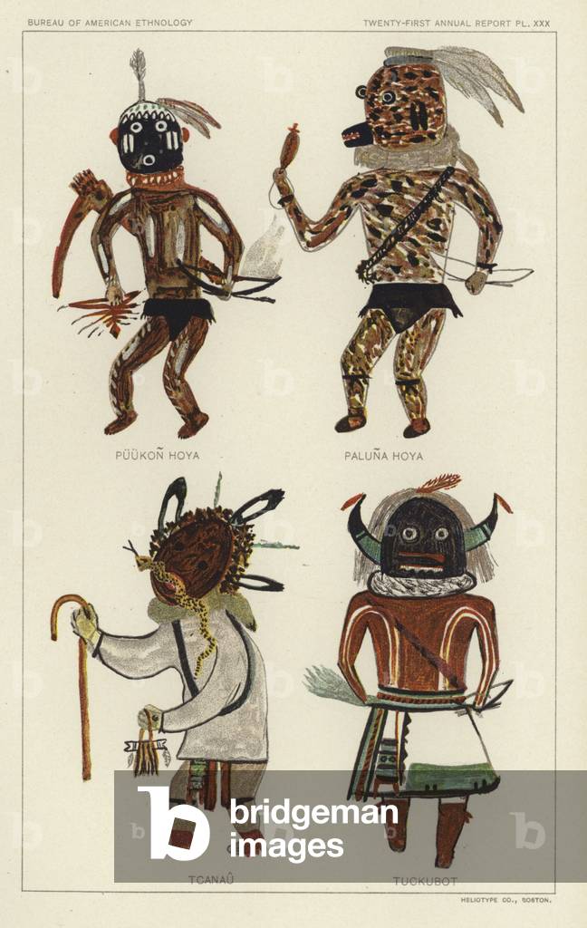 Puukon Hoya, Paluna Hoya, Tcanau, Tuckubot (colour litho)