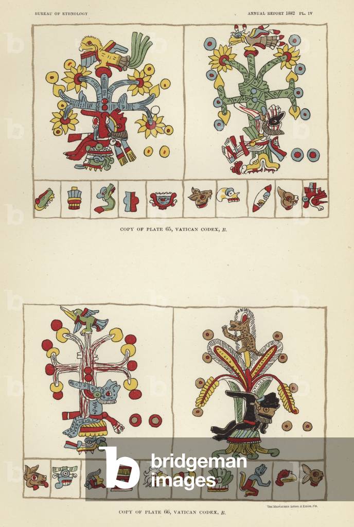 Vatican Codex (colour litho)