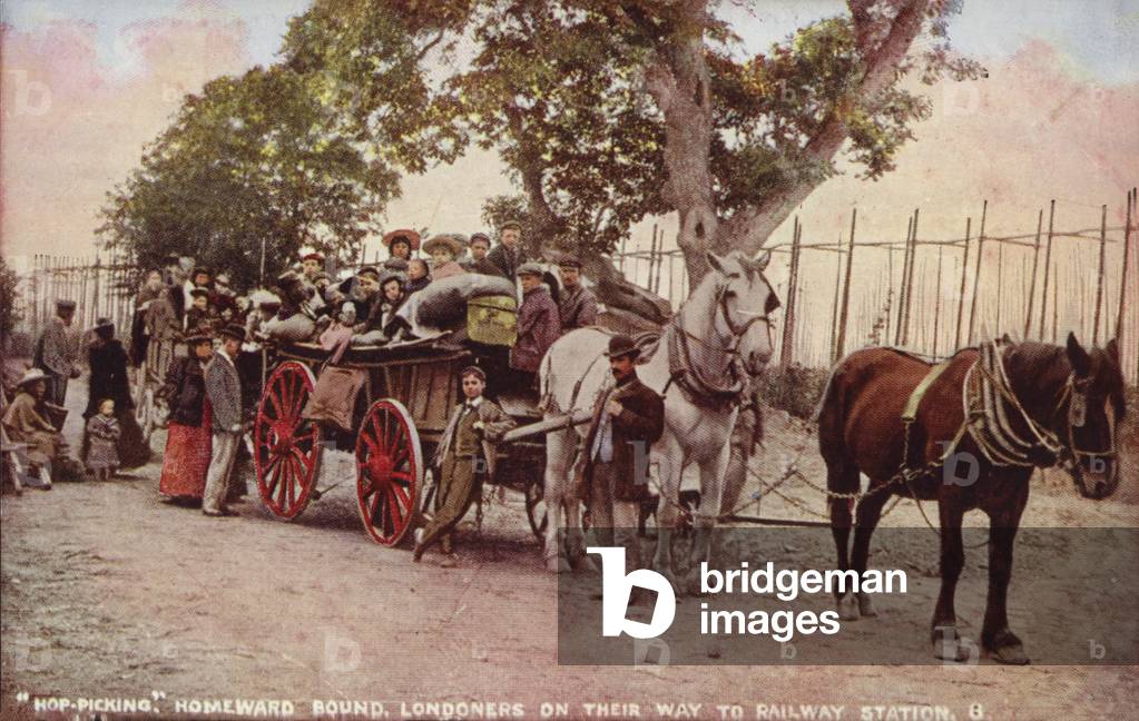 Homeward bound: Hop pickers from London on their way to the railway station (coloured photo)