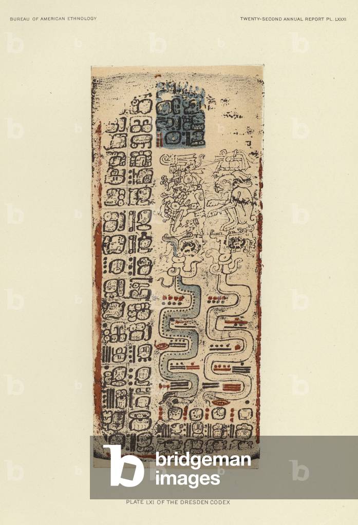 Plate LXI of the Dresden Codex (colour litho)