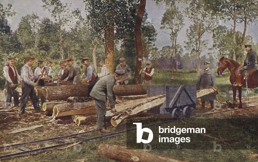 German troops processing timber for use in trenches and shelters, World War I, 1914-1916 (photo)