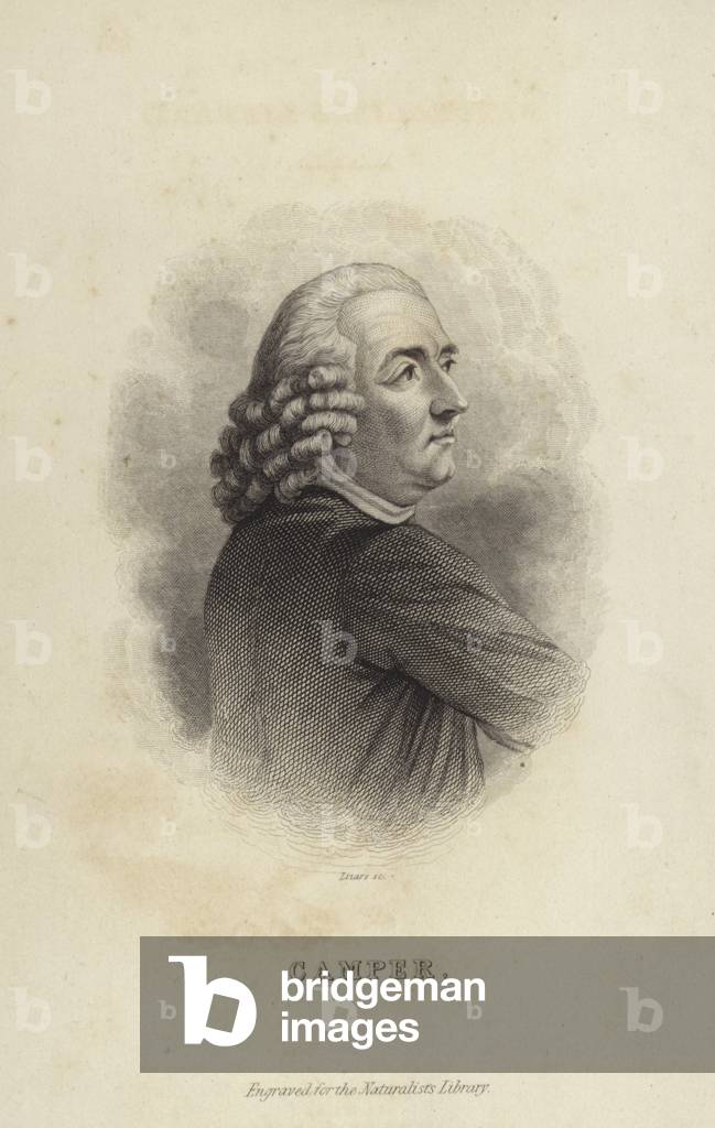 Petrus Camper (engraving)