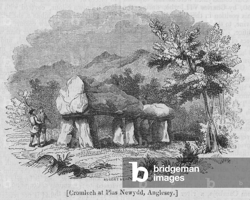 Cromlech at Plas Newydd, Anglesey (engraving)