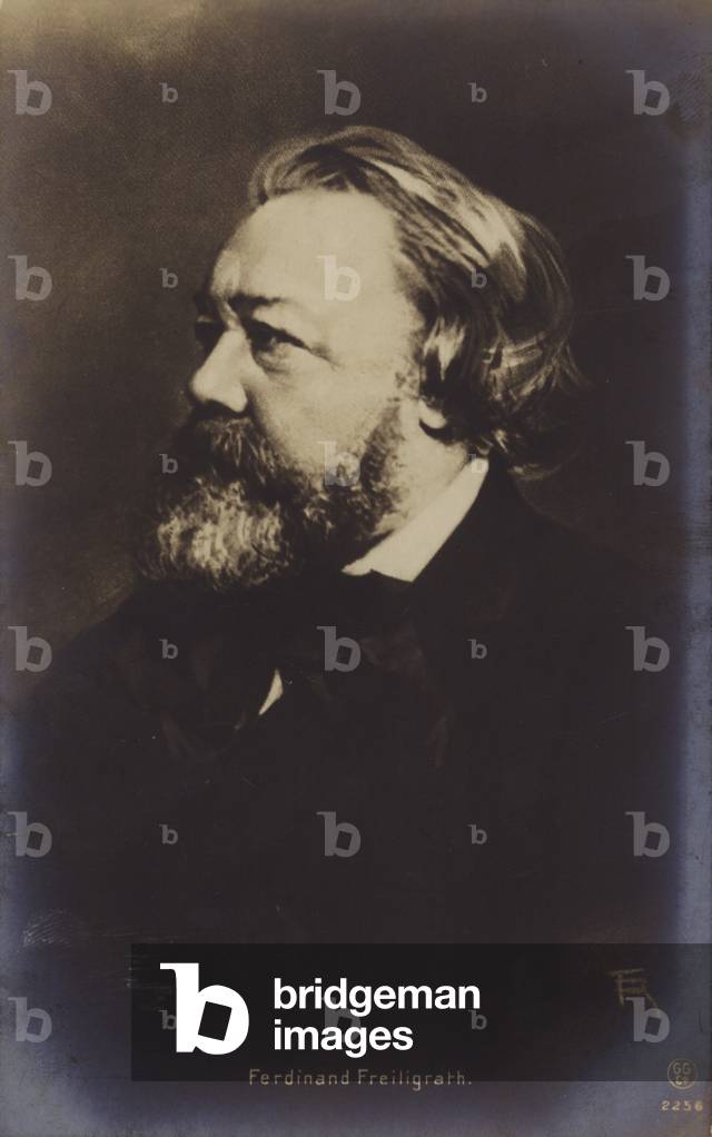 Ferdinand Freiligrath (1810-1876), German poet (b/w photo)