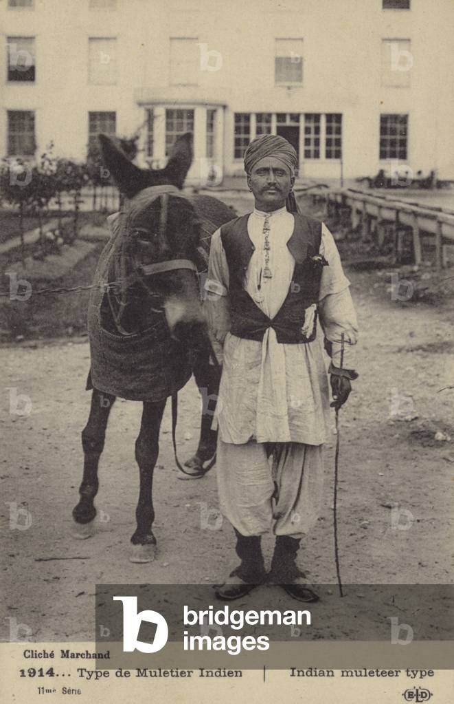 Indian muleteer type (b/w photo)