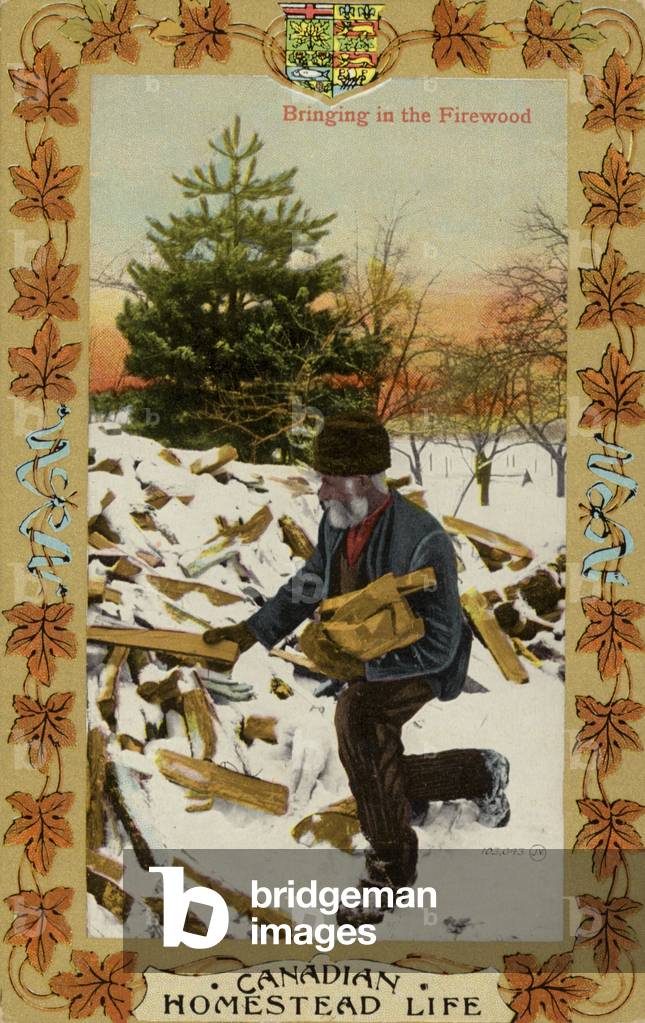 Canadian Homestead Life - Bringing in the Firewood (photo)