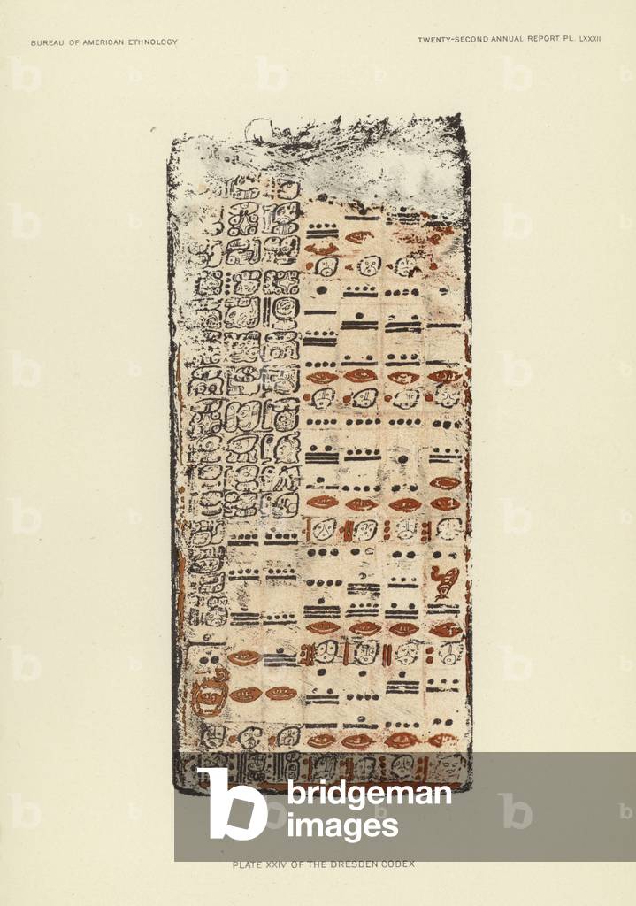 Plate XXIV of the Dresden Codex (colour litho)
