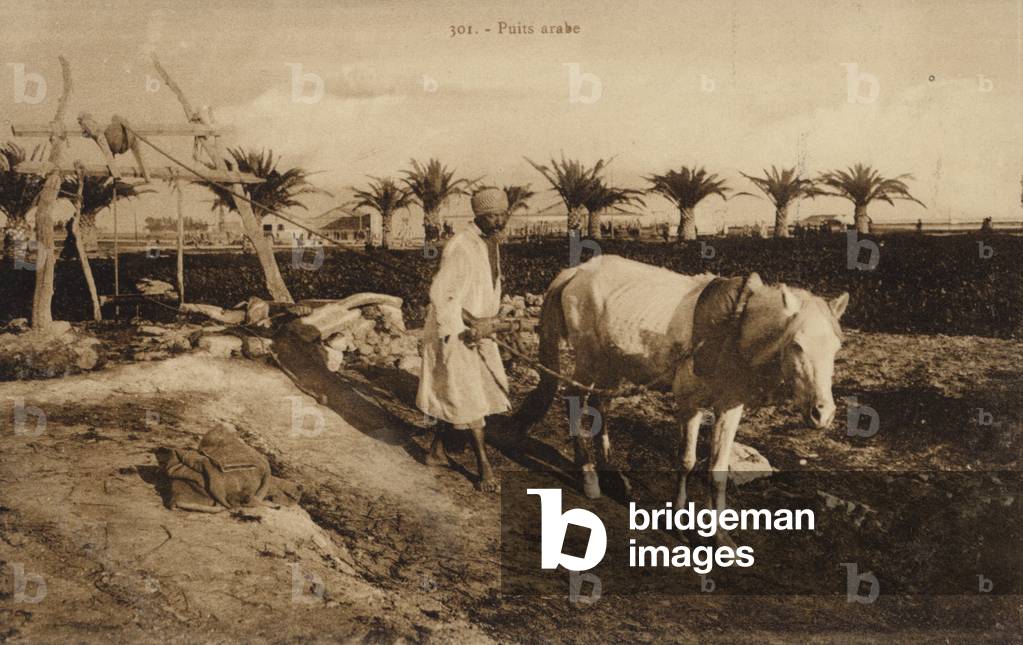 Arab well (b/w photo)