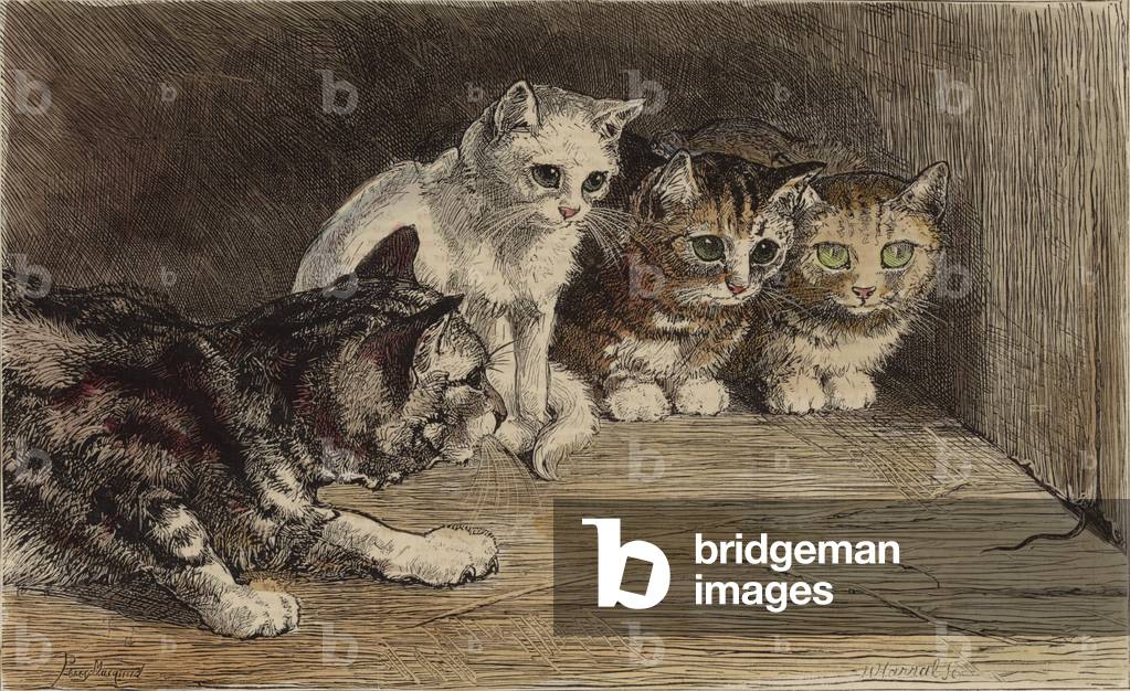 Several cats looking at a mouse's tail (tinted engraving)