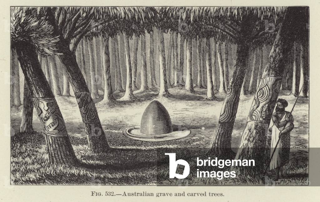 Australian grave and carved trees (engraving)