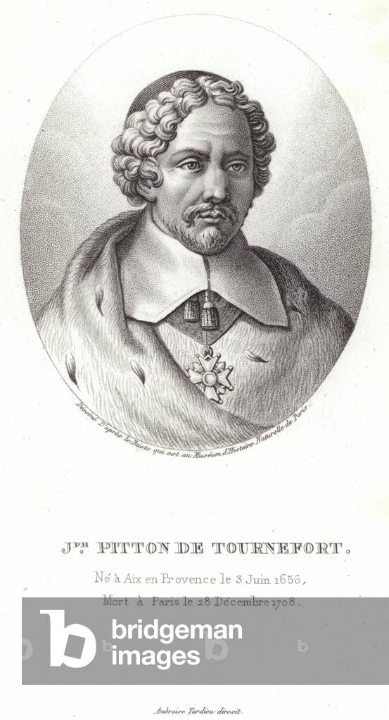 Joseph Pitton de Tournefort (engraving)
