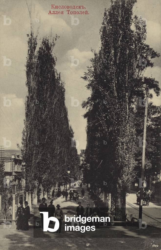 Avenue of poplars, spa resort of Kislovodsk, North Caucasus, Russia, early 20th Century (b/w photo)