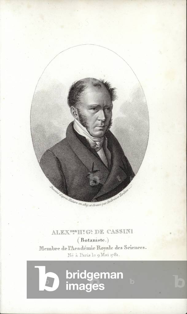 Henri Cassini (engraving)