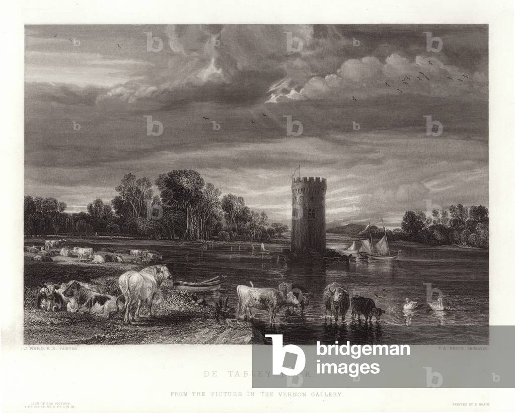 De Tabley Park (engraving)