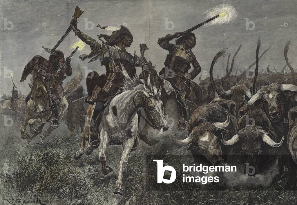 North American Indians running cattle into a ranch (coloured engraving)